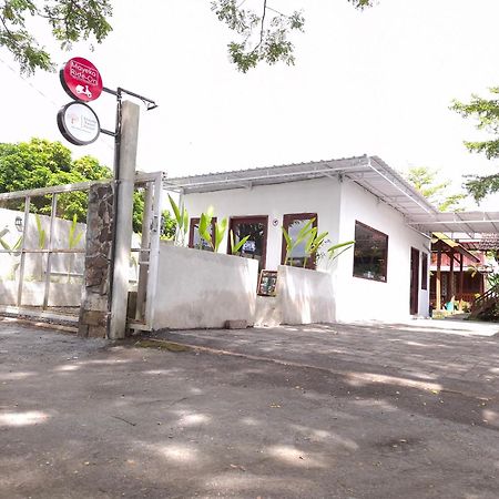 Mayeka Transit Hostel Bandara Internasional Lombok Praya Eksteriør billede